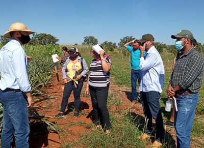 Secretário de Agricultura de Nova Marilândia participa de visita técnica com produtores em unidade experimental da Unemat.